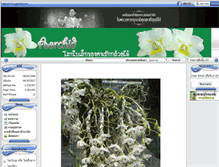 Tablet Screenshot of aorchid.com